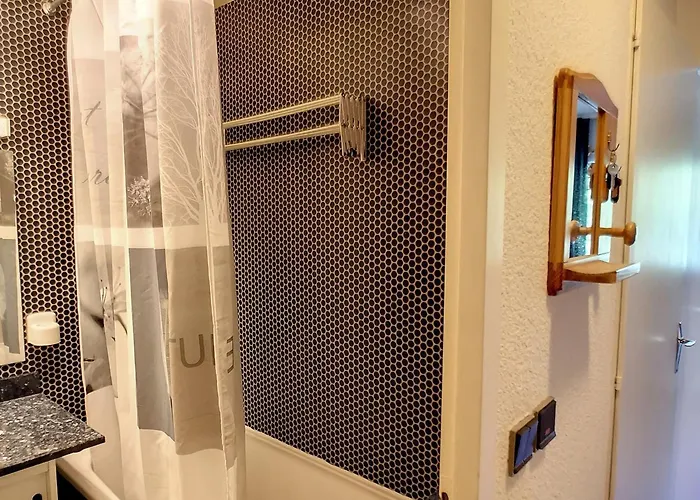 Apartamento 4 Pers Avec Balcon, Parking Couvert Et Wifi Gratuit - Fr-1-178-175 *
